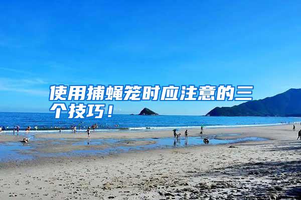 使用捕蠅籠時應(yīng)注意的三個技巧！