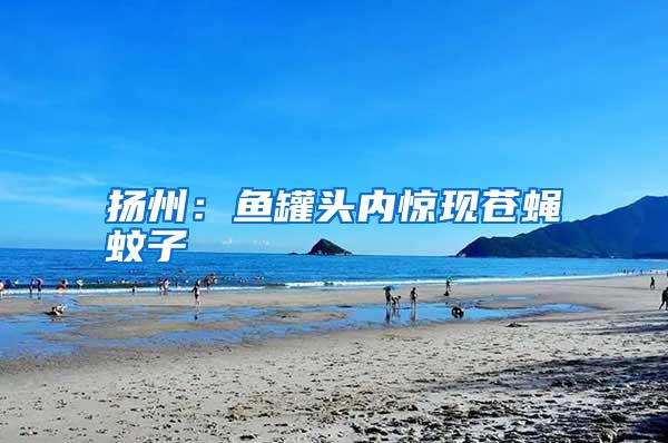 揚(yáng)州：魚罐頭內(nèi)驚現(xiàn)蒼蠅蚊子