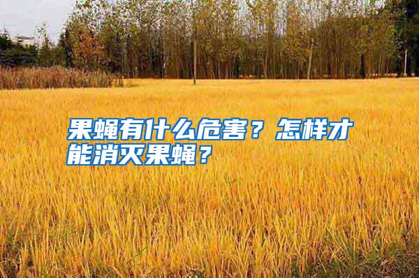果蠅有什么危害？怎樣才能消滅果蠅？