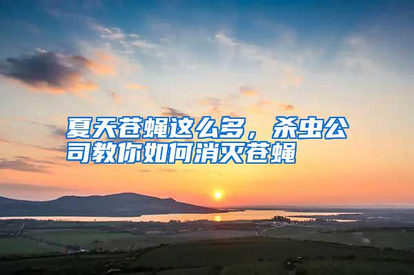 夏天蒼蠅這么多，殺蟲(chóng)公司教你如何消滅蒼蠅