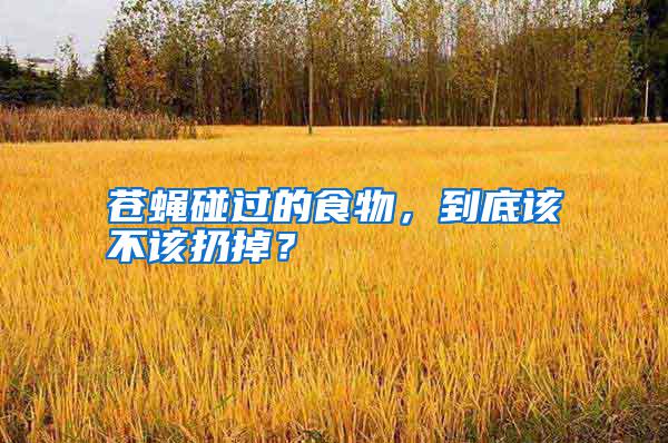 蒼蠅碰過的食物，到底該不該扔掉？