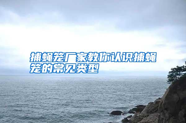 捕蠅籠廠家教你認(rèn)識(shí)捕蠅籠的常見(jiàn)類型