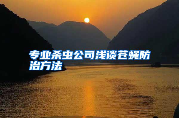 專(zhuān)業(yè)殺蟲(chóng)公司淺談蒼蠅防治方法