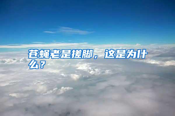 蒼蠅老是搓腳，這是為什么？