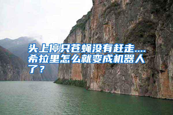 頭上停只蒼蠅沒有趕走....希拉里怎么就變成機(jī)器人了？