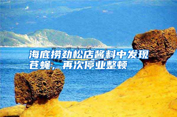 海底撈勁松店醬料中發(fā)現(xiàn)蒼蠅，再次停業(yè)整頓