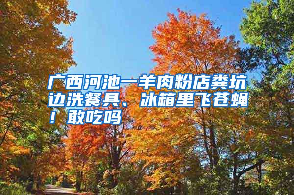 廣西河池一羊肉粉店糞坑邊洗餐具、冰箱里飛蒼蠅！敢吃嗎