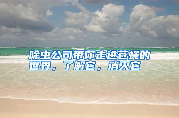 除蟲公司帶你走進(jìn)蒼蠅的世界，了解它，消滅它