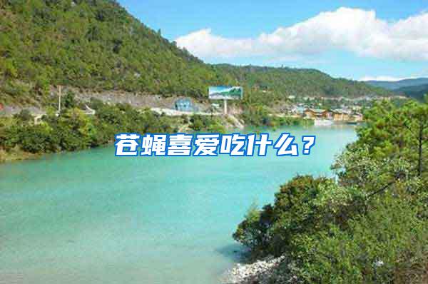 蒼蠅喜愛吃什么？