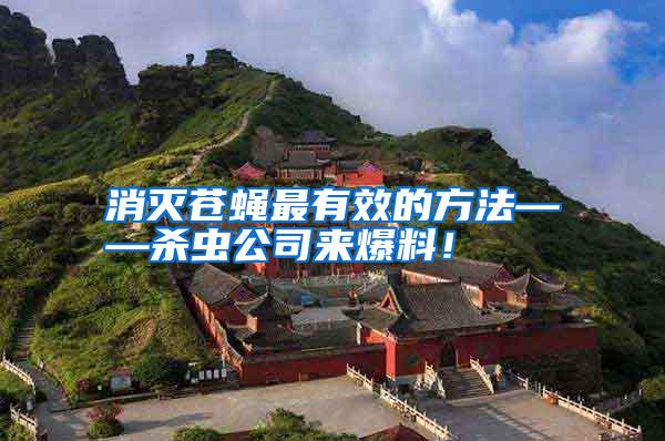 消滅蒼蠅最有效的方法——?dú)⑾x公司來爆料！