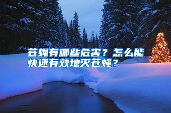 蒼蠅有哪些危害？怎么能快速有效地滅蒼蠅？