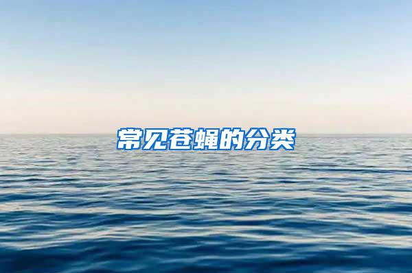 常見(jiàn)蒼蠅的分類(lèi)
