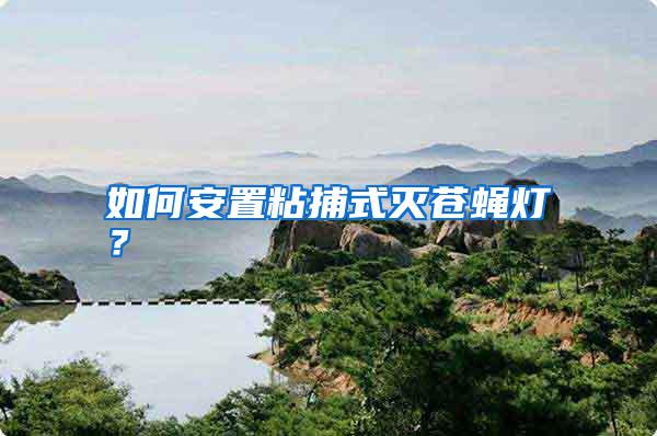 如何安置粘捕式滅蒼蠅燈？