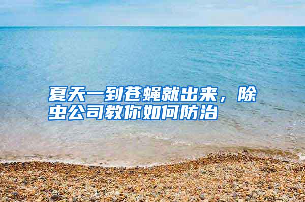 夏天一到蒼蠅就出來，除蟲公司教你如何防治