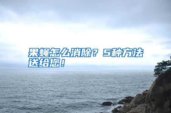 果蠅怎么消除？5種方法送給您！