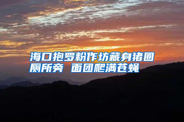 ?？诒Я_粉作坊藏身豬圈廁所旁 面團爬滿蒼蠅
