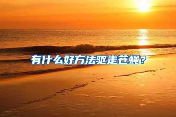 有什么好方法驅(qū)走蒼蠅？