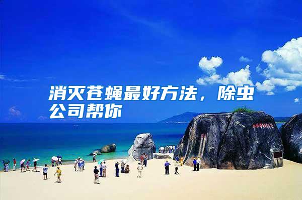 消滅蒼蠅最好方法，除蟲公司幫你