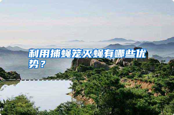 利用捕蠅籠滅蠅有哪些優(yōu)勢？
