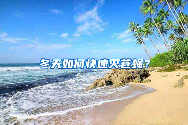 冬天如何快速滅蒼蠅？