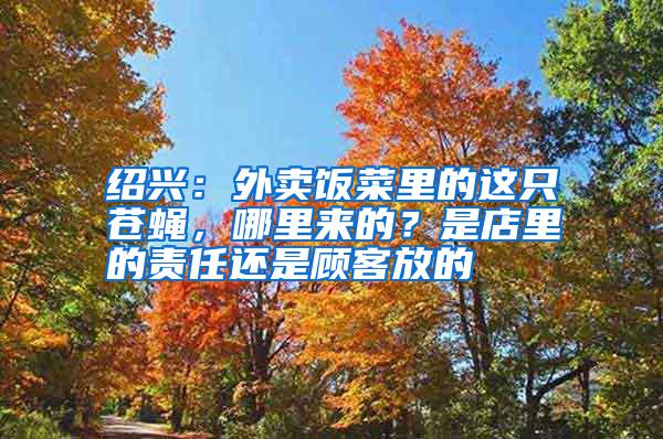 紹興：外賣飯菜里的這只蒼蠅，哪里來的？是店里的責(zé)任還是顧客放的
