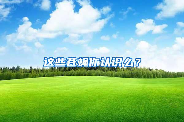 這些蒼蠅你認(rèn)識么？