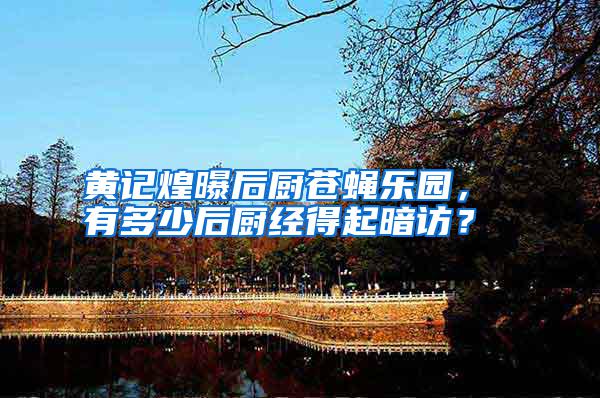 黃記煌曝后廚蒼蠅樂(lè)園， 有多少后廚經(jīng)得起暗訪？
