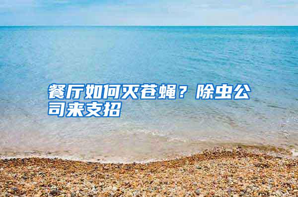 餐廳如何滅蒼蠅？除蟲公司來支招
