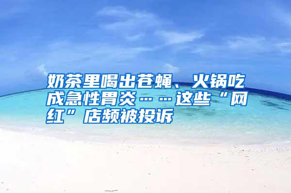 奶茶里喝出蒼蠅、火鍋吃成急性胃炎……這些“網(wǎng)紅”店頻被投訴