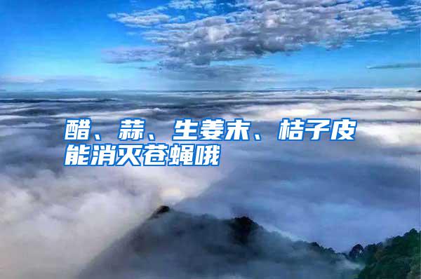 醋、蒜、生姜末、桔子皮能消滅蒼蠅哦