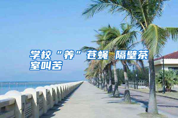 學(xué)?！梆B(yǎng)”蒼蠅 隔壁茶室叫苦