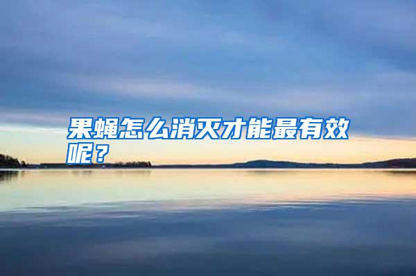 果蠅怎么消滅才能最有效呢？