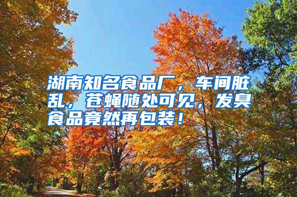 湖南知名食品廠，車間臟亂，蒼蠅隨處可見(jiàn)，發(fā)臭食品竟然再包裝！