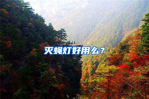 滅蠅燈好用么？