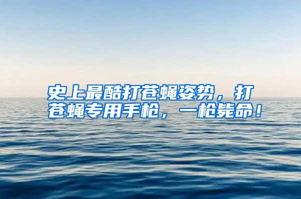 史上最酷打蒼蠅姿勢，打蒼蠅專用手槍，一槍斃命！