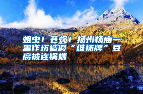 蛆蟲！蒼蠅！揚州楊廟一黑作坊造假“維揚牌”豆腐被連鍋端