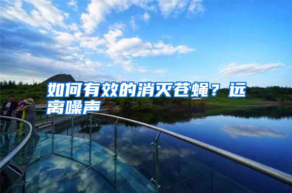 如何有效的消滅蒼蠅？遠(yuǎn)離噪聲