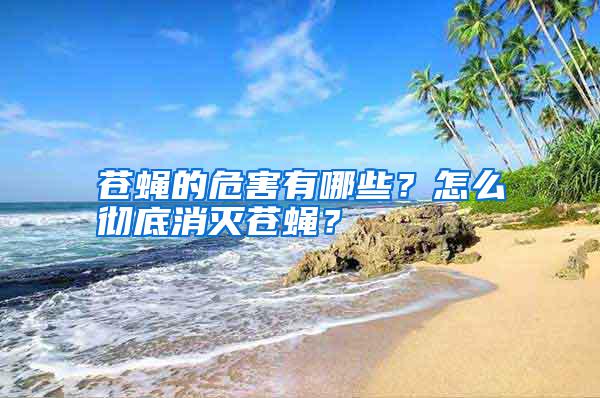 蒼蠅的危害有哪些？怎么徹底消滅蒼蠅？