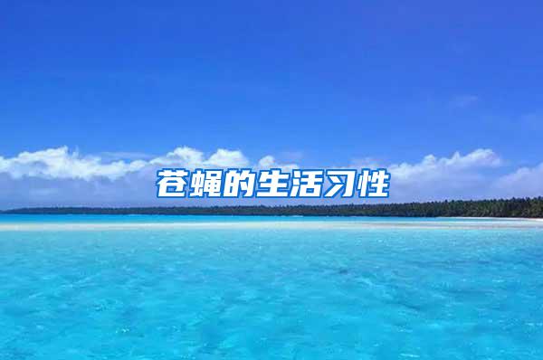 蒼蠅的生活習(xí)性