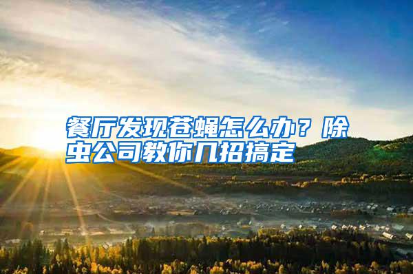 餐廳發(fā)現(xiàn)蒼蠅怎么辦？除蟲公司教你幾招搞定