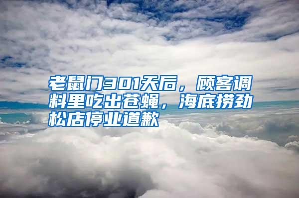 老鼠門301天后，顧客調(diào)料里吃出蒼蠅，海底撈勁松店停業(yè)道歉