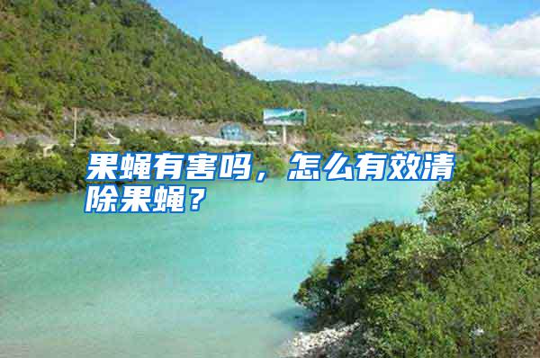 果蠅有害嗎，怎么有效清除果蠅？