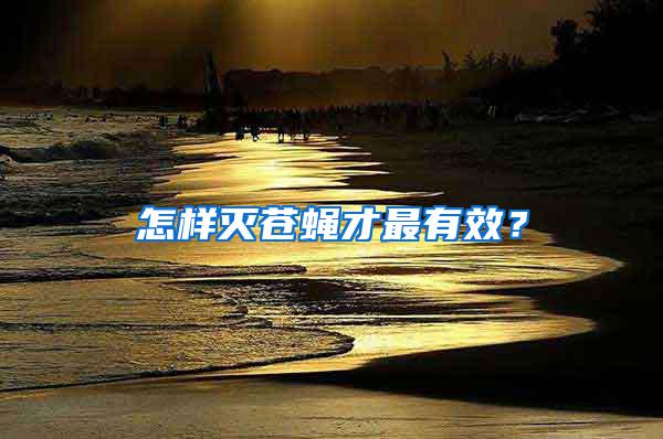 怎樣滅蒼蠅才最有效？