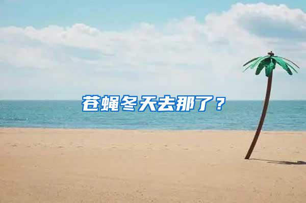 蒼蠅冬天去那了？