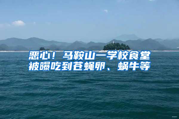惡心！馬鞍山一學(xué)校食堂被曝吃到蒼蠅卵、蝸牛等