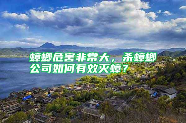蟑螂危害非常大，殺蟑螂公司如何有效滅蟑？