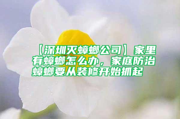 【深圳滅蟑螂公司】家里有蟑螂怎么辦，家庭防治蟑螂要從裝修開始抓起
