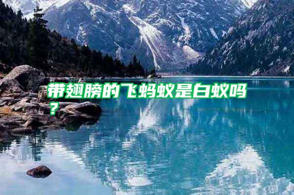 帶翅膀的飛螞蟻是白蟻嗎？