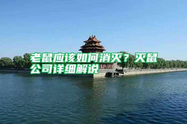 老鼠應(yīng)該如何消滅？滅鼠公司詳細(xì)解說