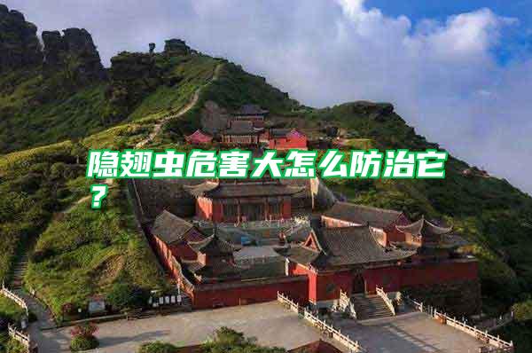 隱翅蟲危害大怎么防治它？